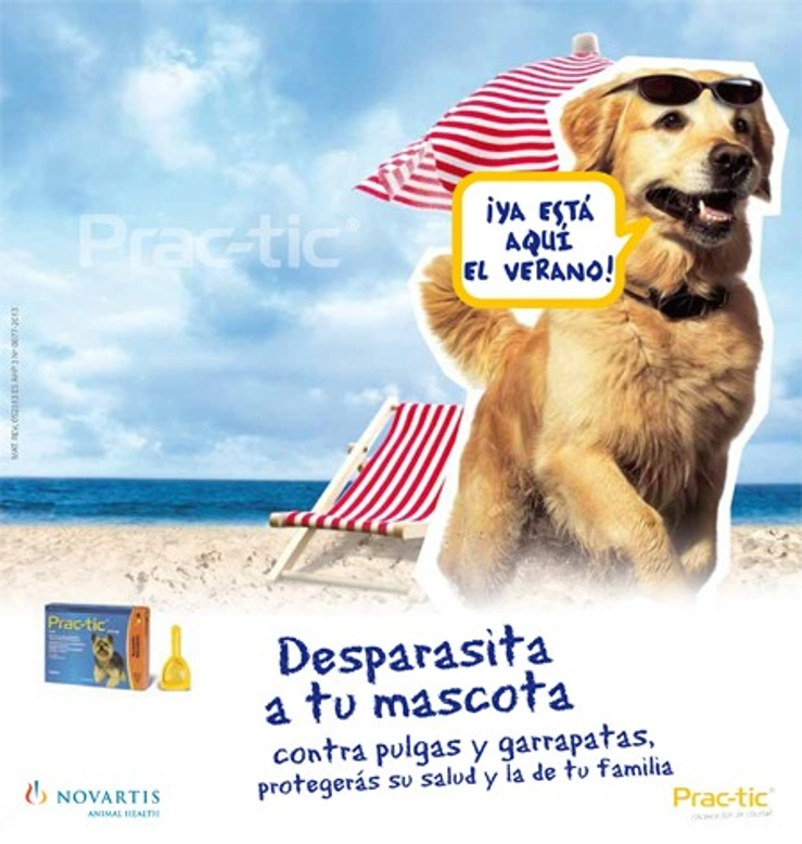 La infestación por pulgas y garrapatas es uno de los problemas más frecuentes en perros