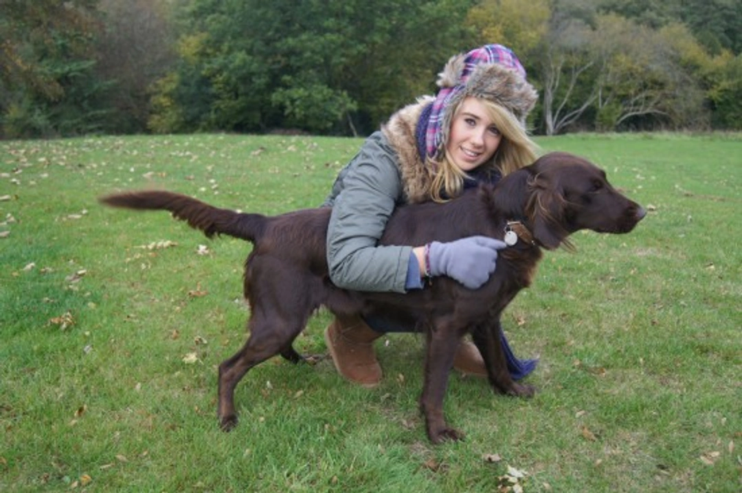 The Countryside Code for Dog Owners: Rights and Responsibilities