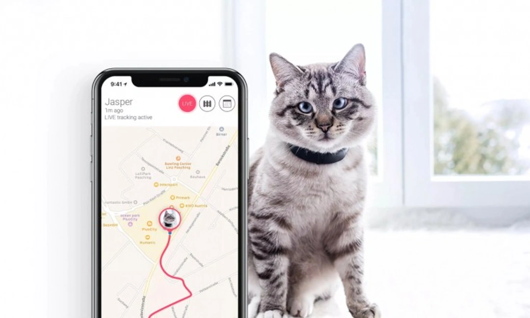 Are GPS pet trackers worth the money? Benefits and drawbacks