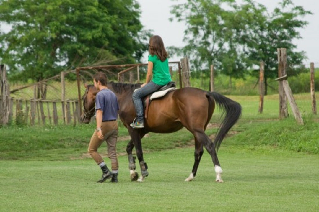 Choosing a Horse Riding School: A Guide for Novice Riders
