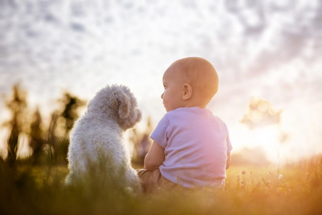 How to Tell if You or Your Child Are Allergic to Dogs