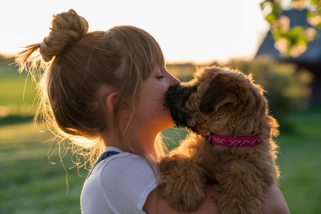 Engagemang och service med omtanke – hundförsäkring är mer än bara villkor