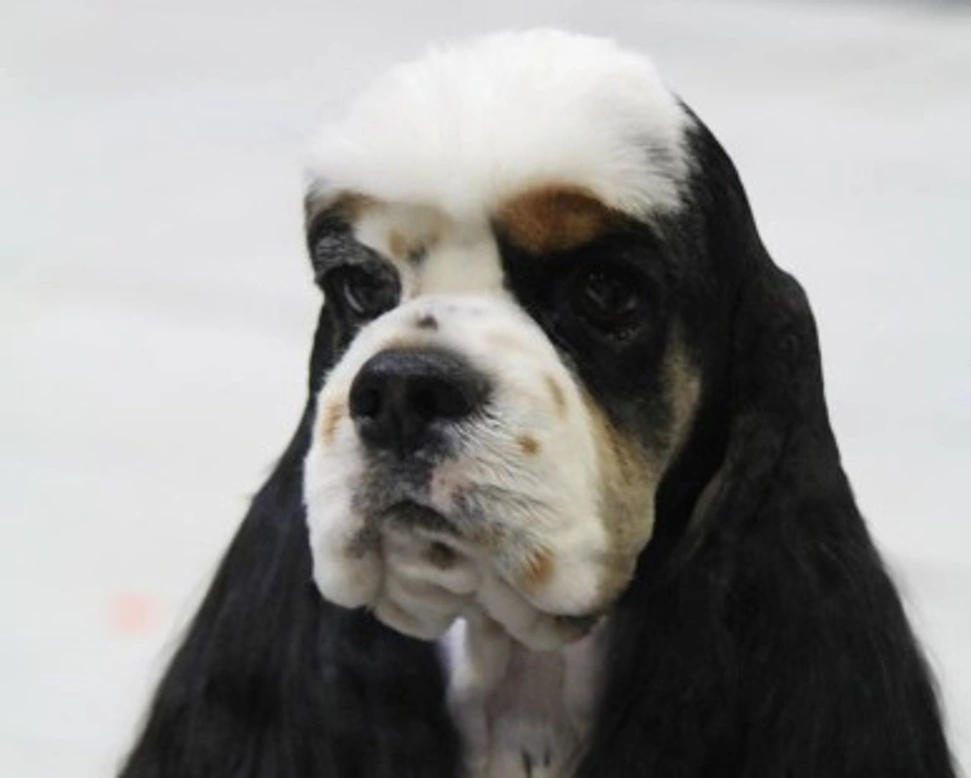 CAMPIONESSA DEL MONDO !!!!