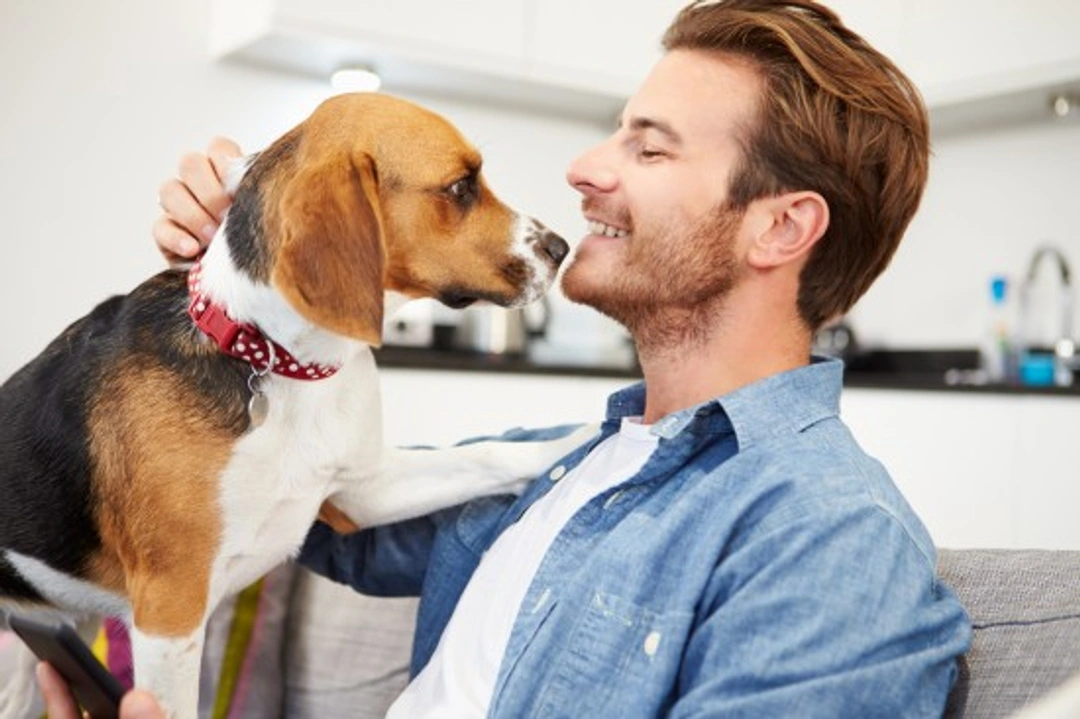 How to Find the Perfect Pet Sitter: Expert Tips for Peace of Mind