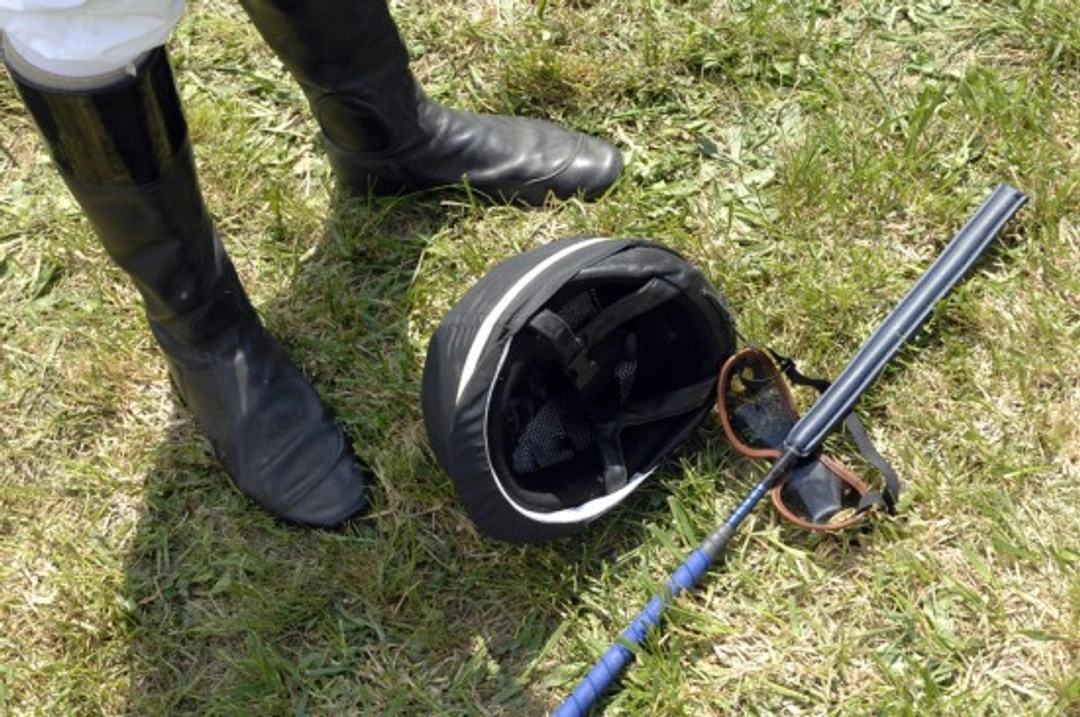 Why Horse Crops Don’t Work As Well As We Think