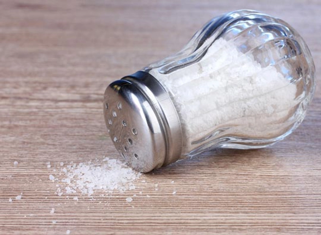 Zout giftig voor honden