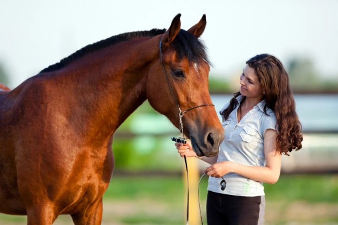Correcting Bad Behaviour in Horses and Ponies: Essential Guide