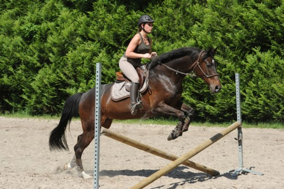 Exercises to Improve Your Riding Balance & Fitness