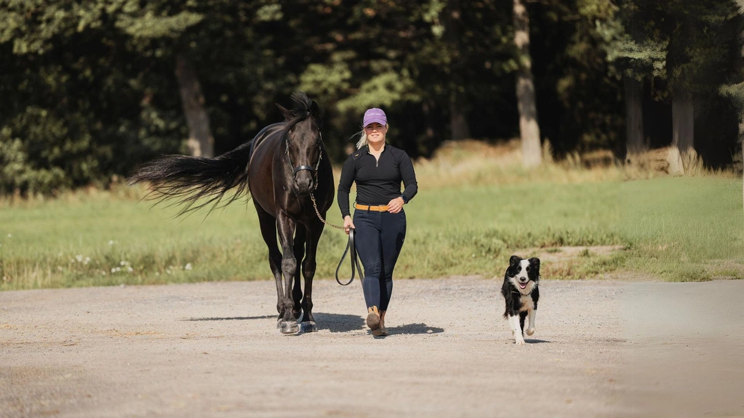 Ta med hunden i stallet - Lina Dolks bästa tips!
