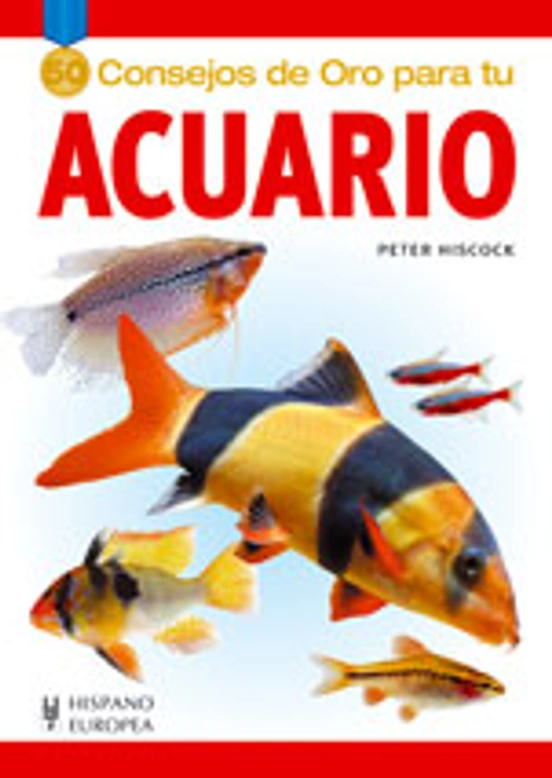 Acuario doméstico: puesta en marcha y mantenimiento
