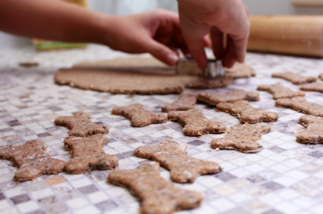 6 Good Reasons to Make Your Own Dog Treats