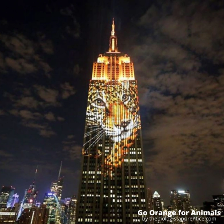 Abril, mes en contra del maltrato animal