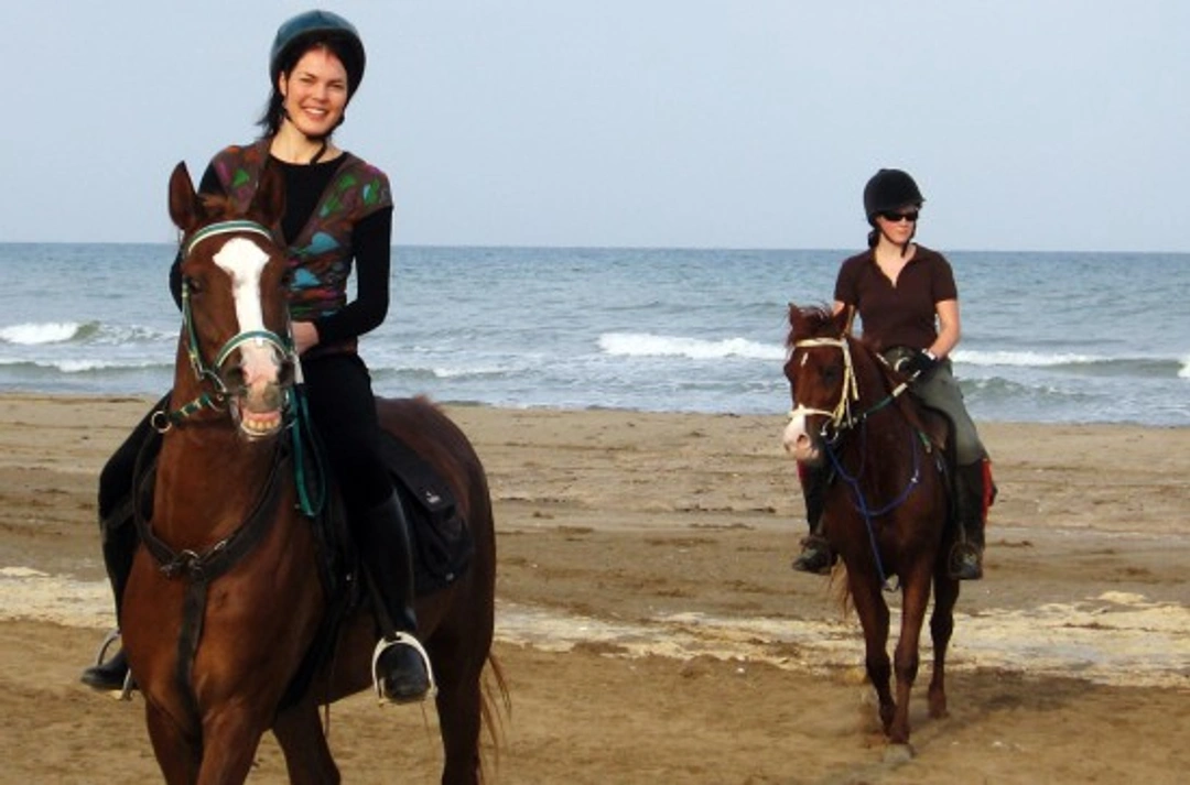 Horse Riding on the Beach: A Complete Guide for UK Riders