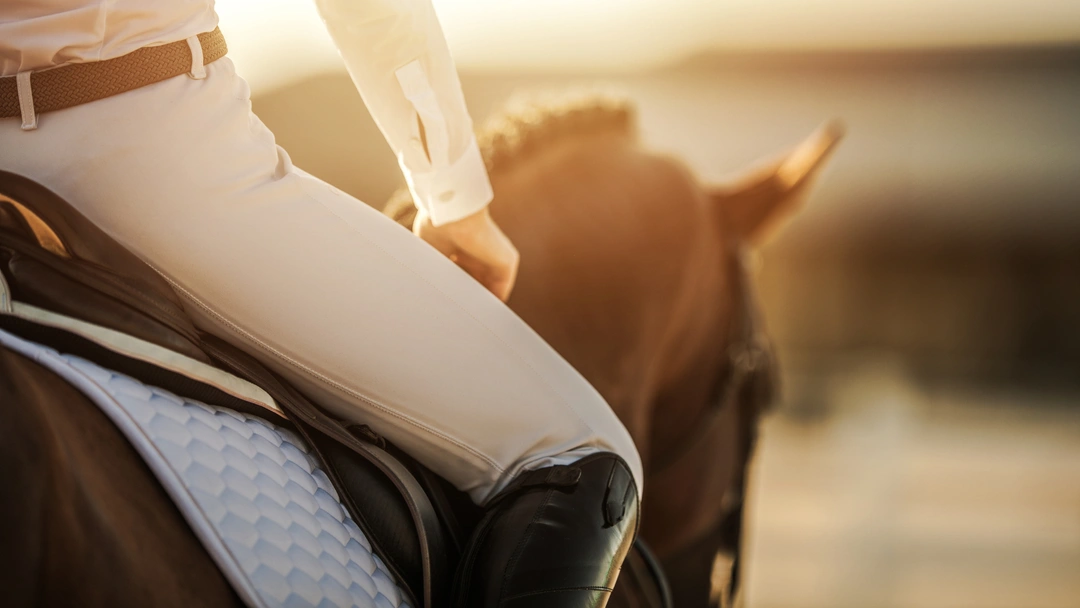 Provridning av häst – tips och checklista inför ditt första möte