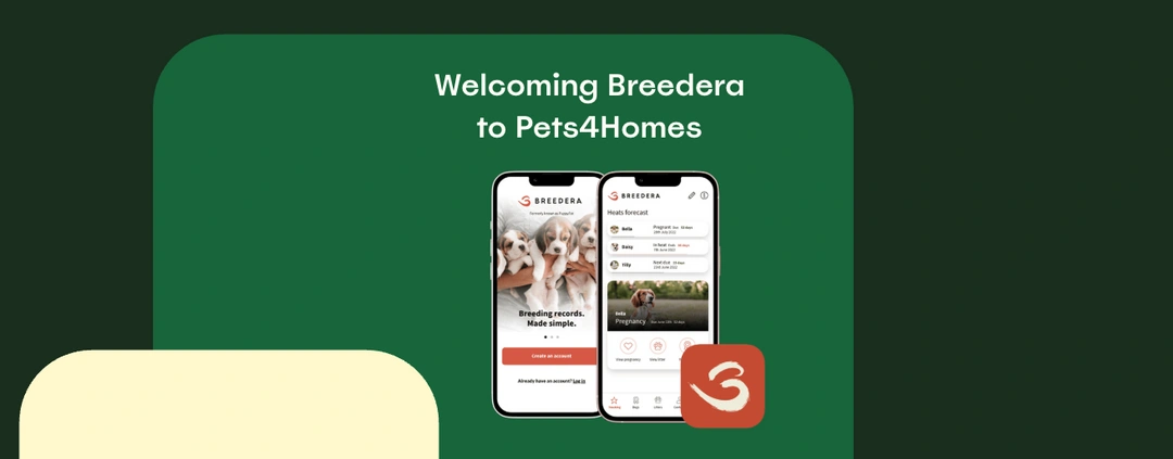 Breedera is joining Pets4Homes: helping responsible breeders focus on what matters most