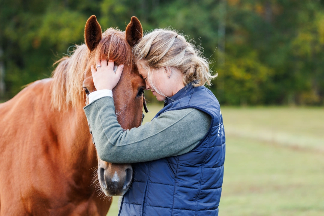 Avlivning av häst - Svensk Lantbrukstjänst jourbil finns tillgänglig med utgångspunkt från Kristianstad 