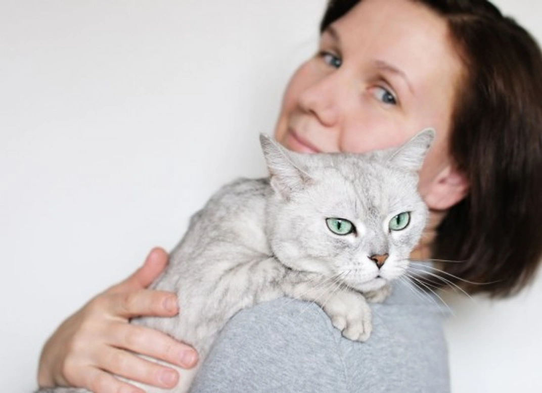 Bringing a New Cat Home: A Complete Guide to a Smooth Transition