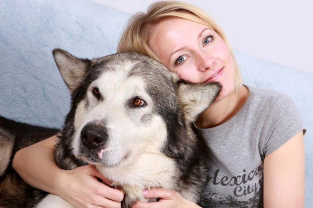 Lintwormen, gevaar voor mensen en honden