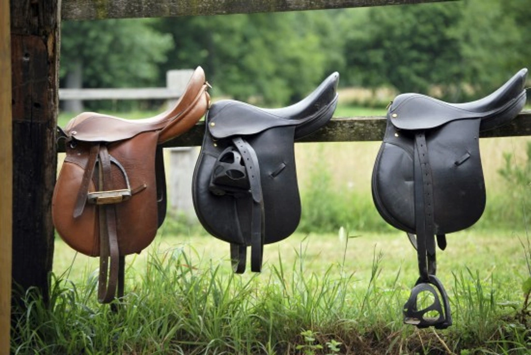 Understanding the Horse Saddle: History, Types and Uses