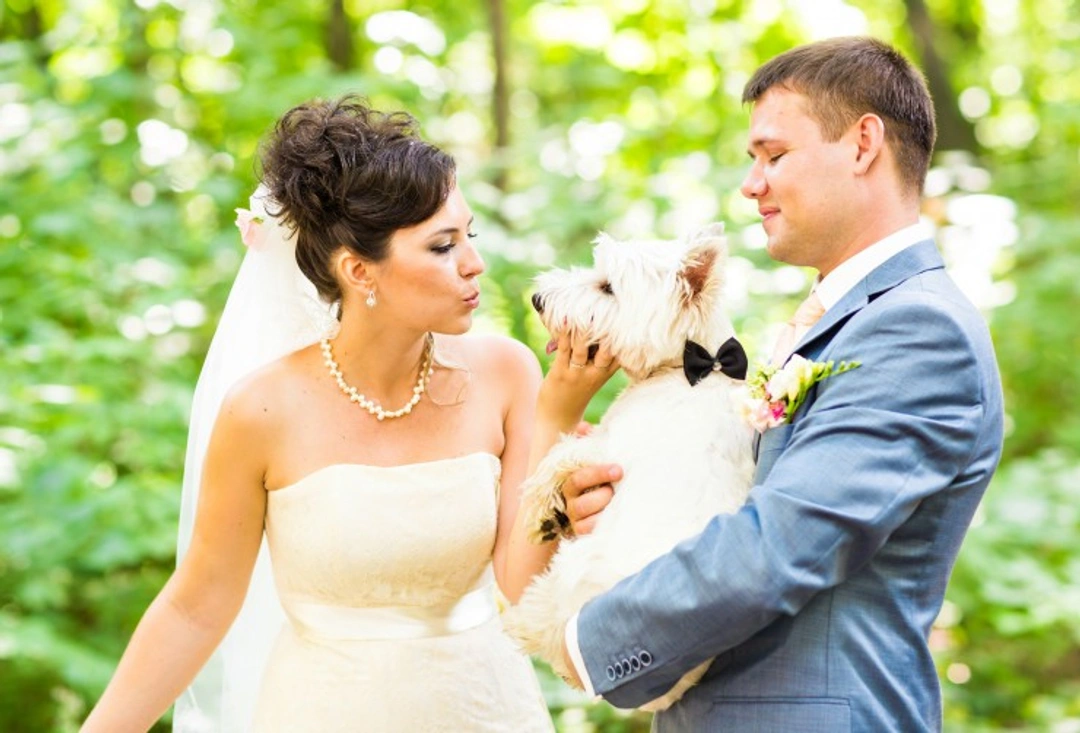 10 Creative Ways to Include Your Dog in Your Wedding Day
