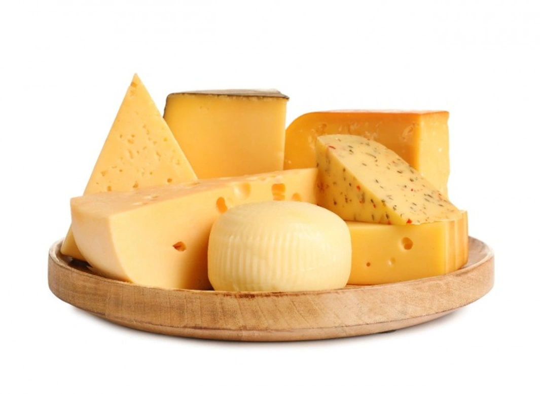 Will cheese make my dog sick?