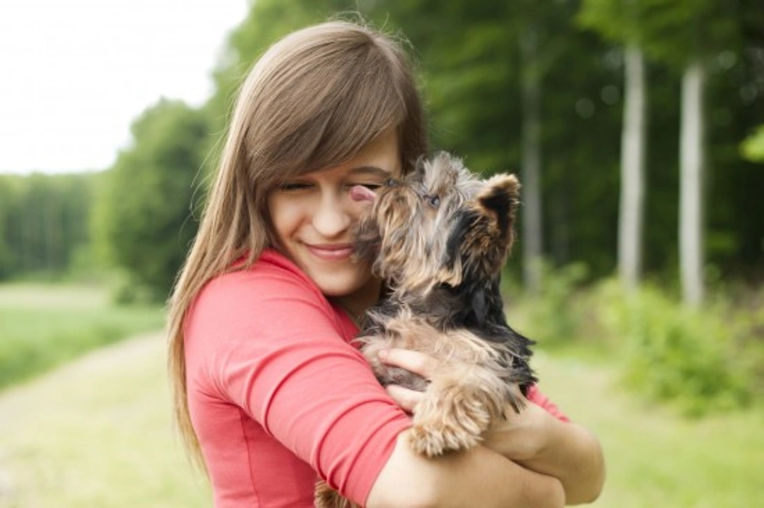 Understanding Dog Licking as a Sign of Submission