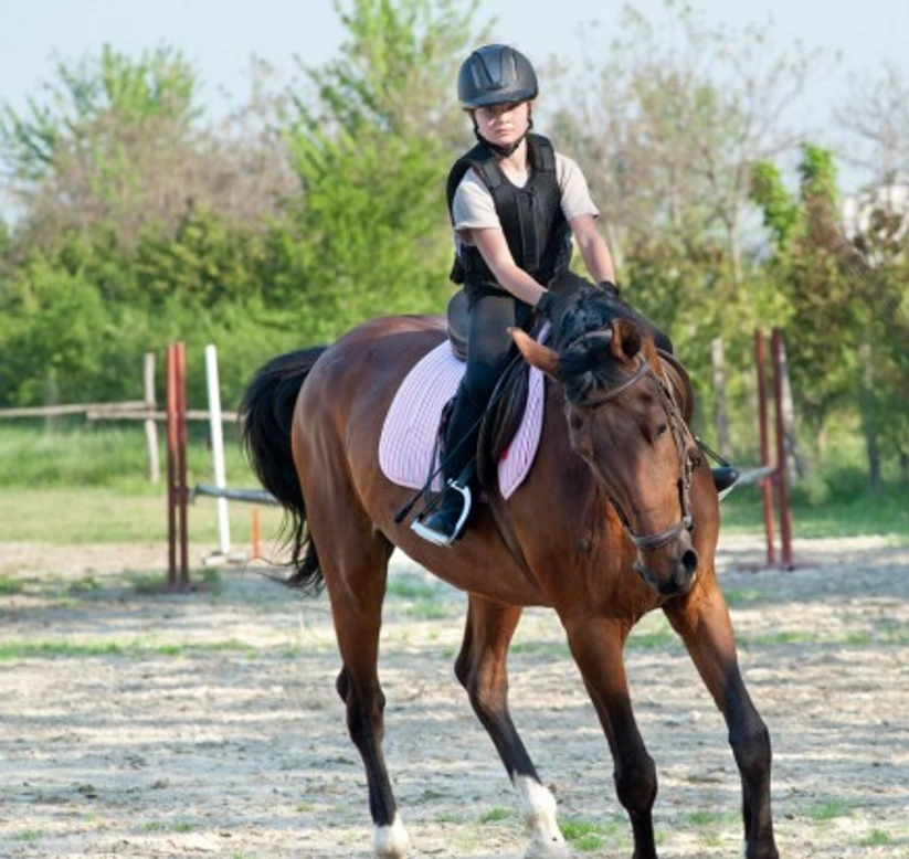 Getting the Most from Your Riding Lessons: Expert Guide