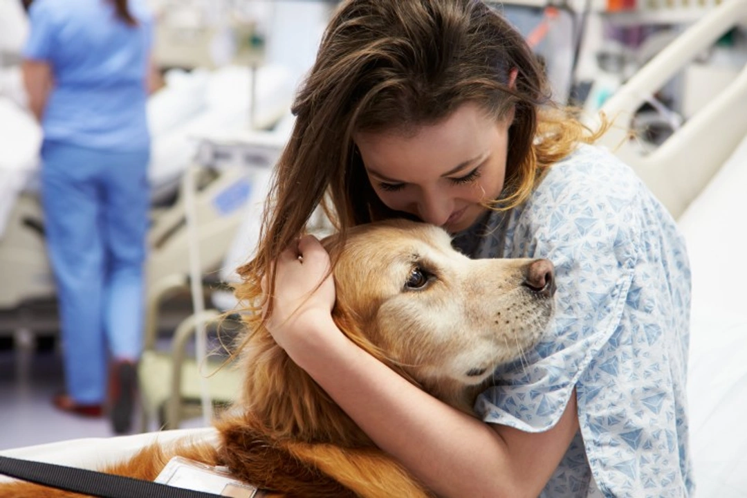How to Turn Your Dog into a Therapy Dog: Step-by-Step Guide