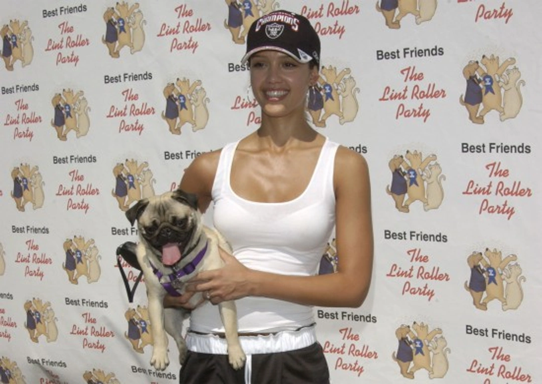 Does Dog Breed Reflect Their Owner’s Personality?