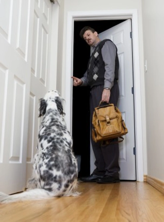 Teaching Dogs Good Door Etiquette: Step-by-Step Guide