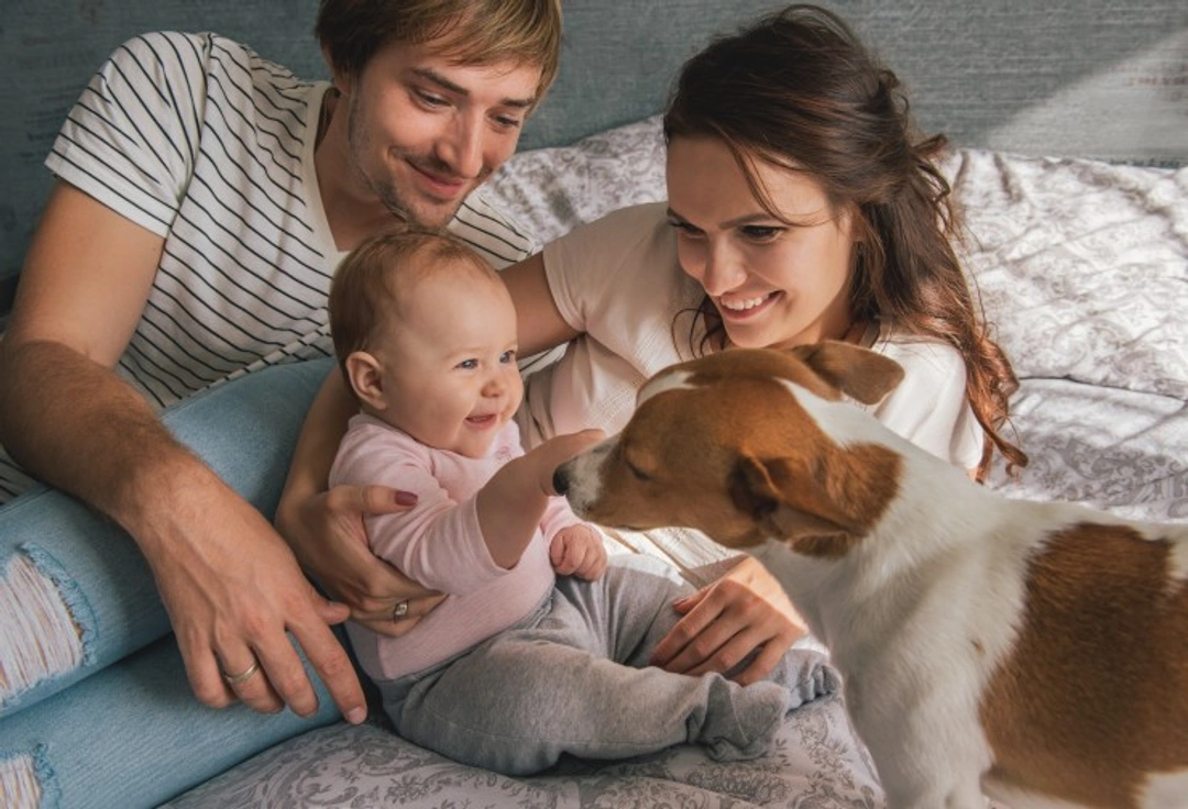 7 Essential Tips to Introduce Your Dog to Your New Baby