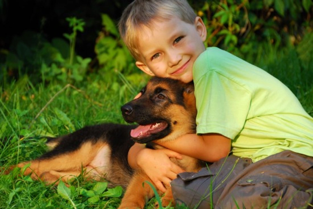 Choosing Your Child’s First Pet: Top Family-Friendly Picks