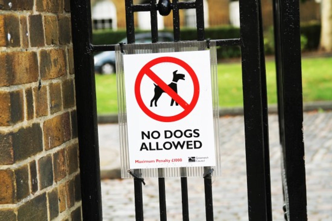 UK Dangerous Wild Animals Legislation and Animal Keeping Laws