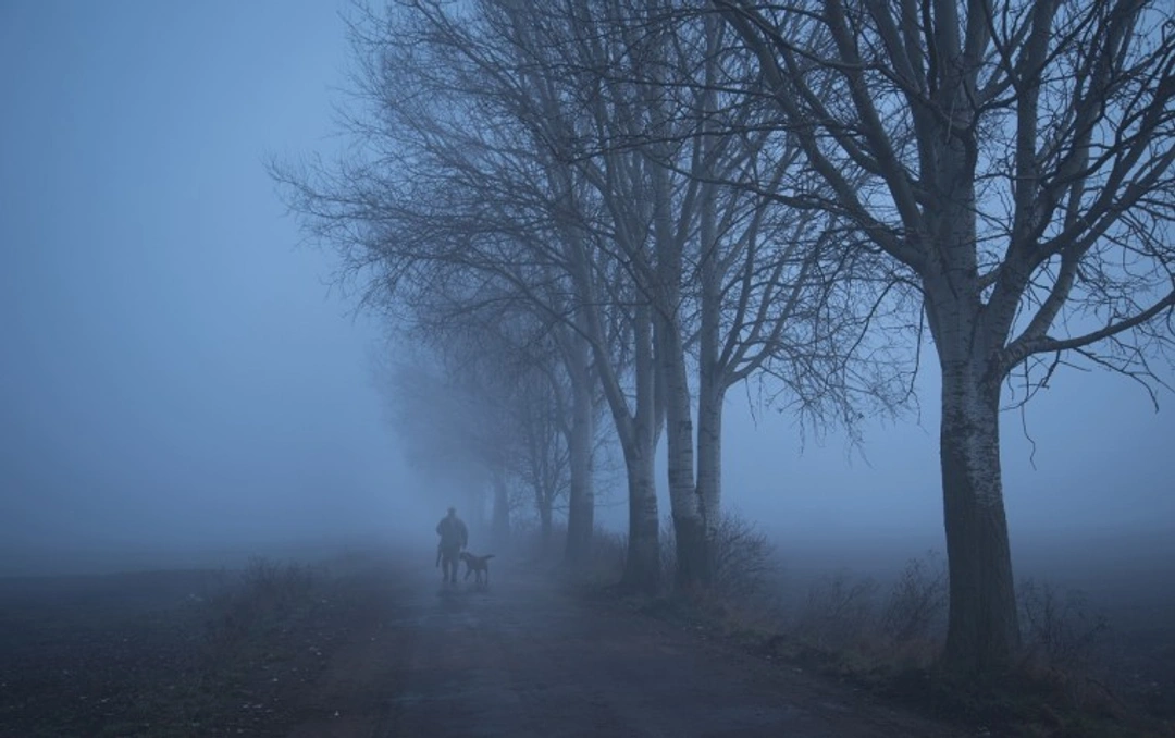 7 Expert Tips for Safe Night Dog Walking UK 2025