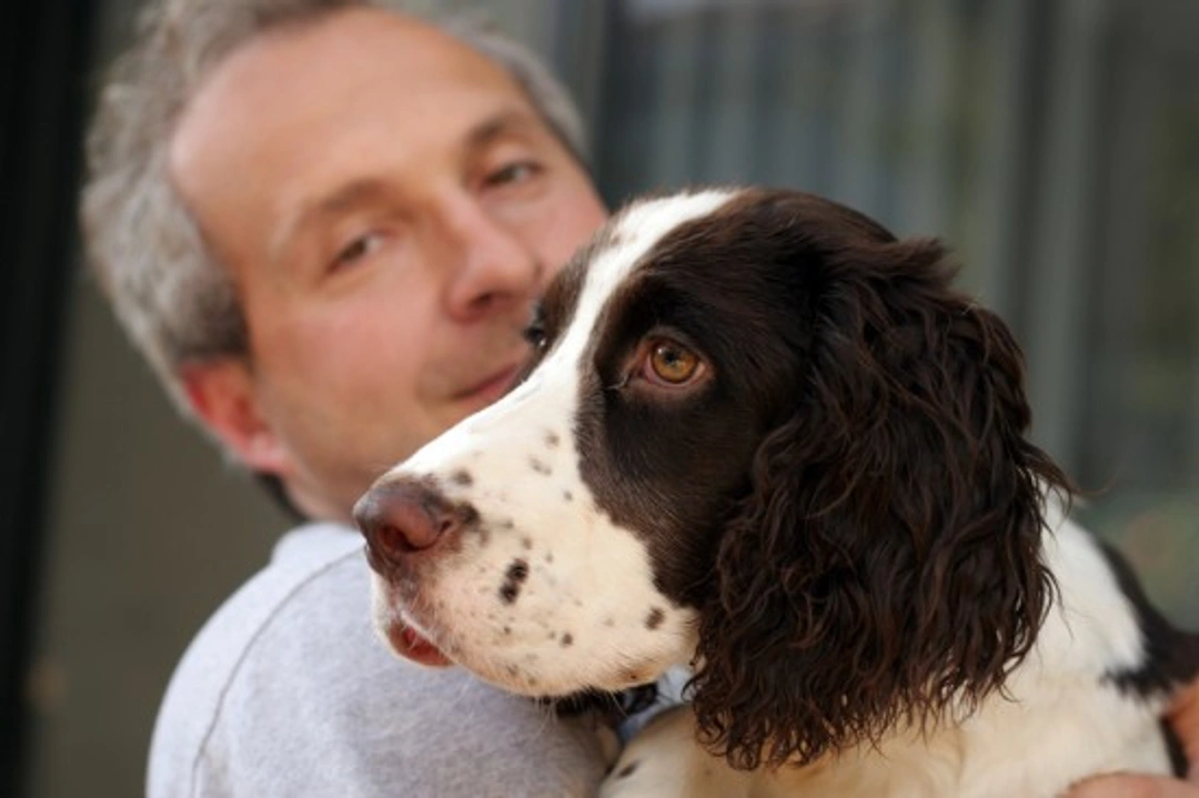 Scheidingangst bij je hond verminderen: 7 bewezen strategieën