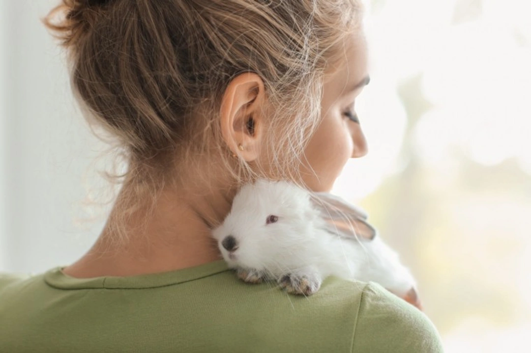 How the UK Keeps Pet Rabbits & Meeting Their Needs