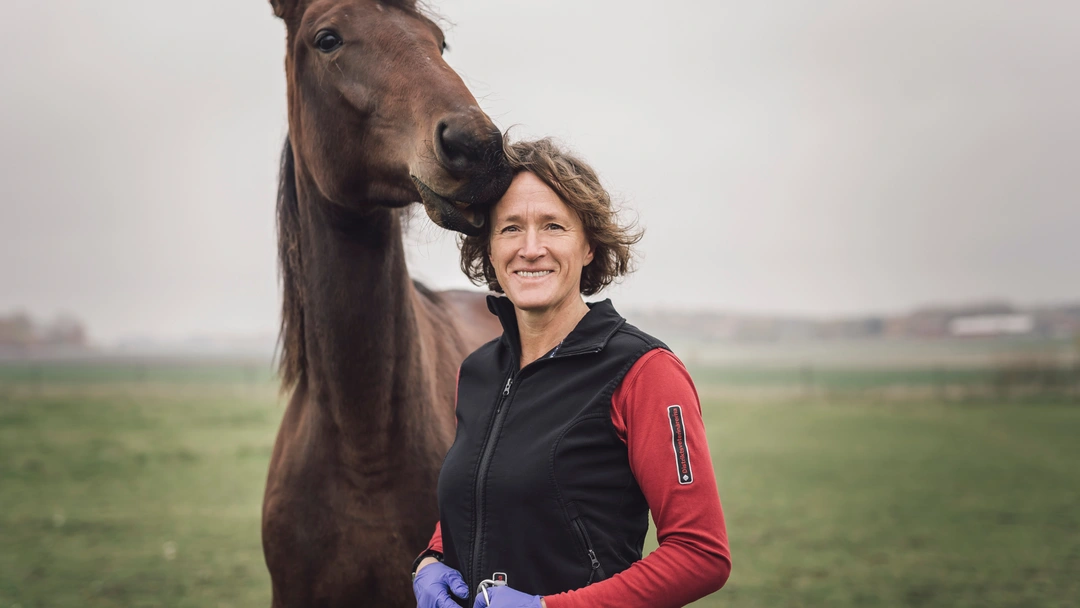 Sårskada på häst - En checklista