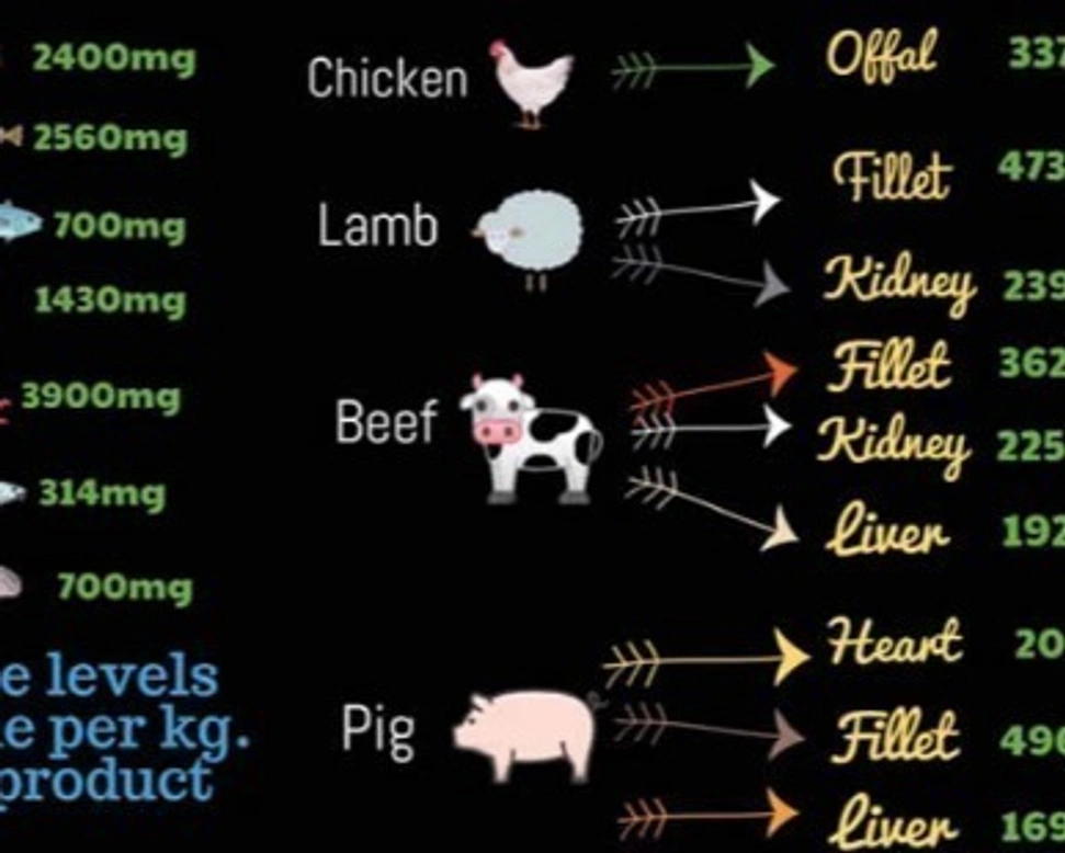 La taurina, importante molecola per la salute del gatto