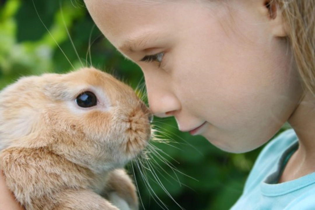 Children & Rabbits: A Guide to Safe, Happy Relationships