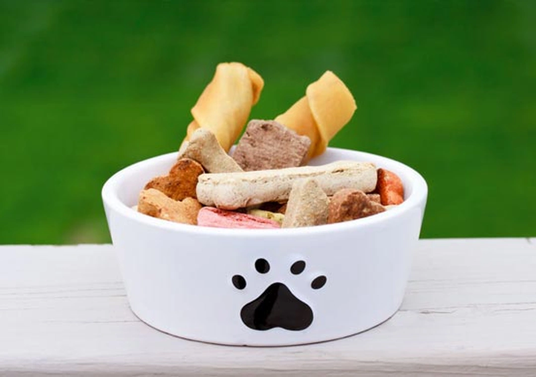 Kan mijn hond gaatjes in zijn kiezen krijgen?