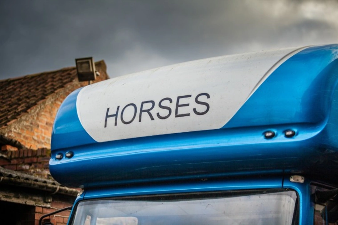 Best Ways to Travel Your Horse: UK Guide 2025