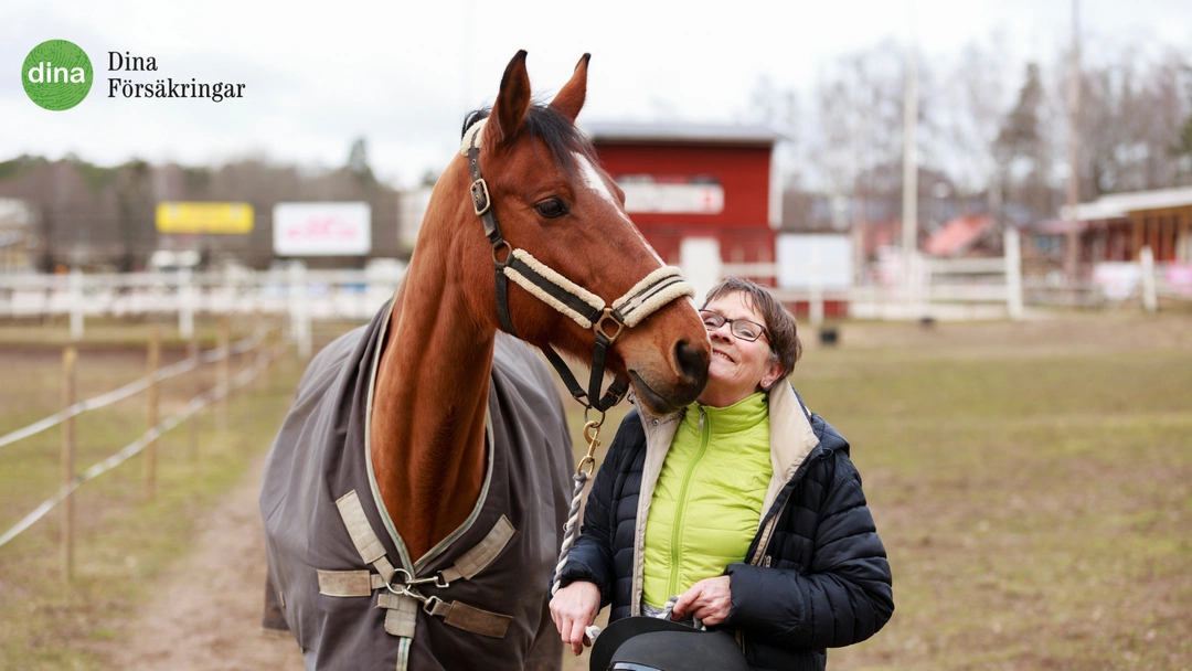 Har du rätt skydd om olyckan är framme och hur kan vi arbeta skadeförebyggande i stallet?