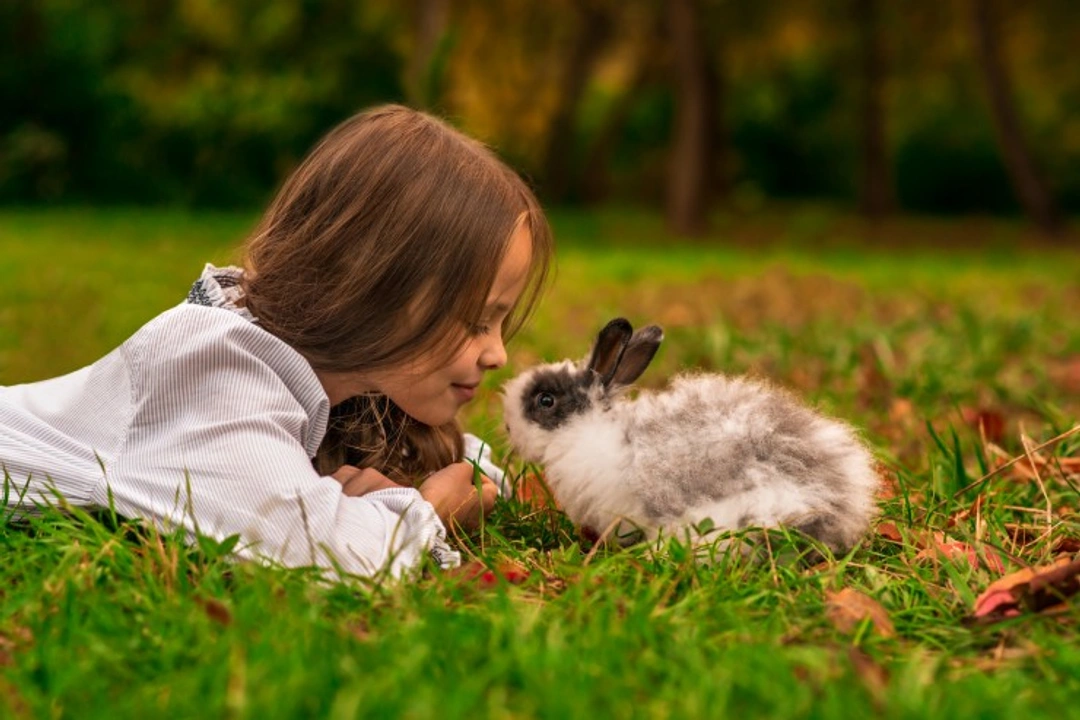 Can We Catch Diseases from Pet Rabbits? Key Facts for 2025