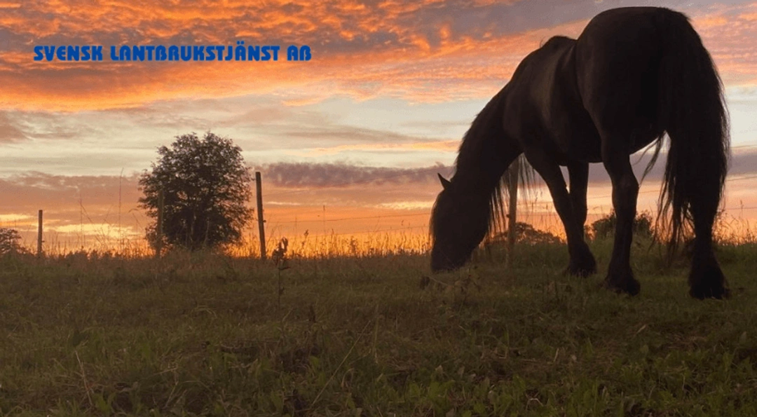 När det är dags att säga hejdå