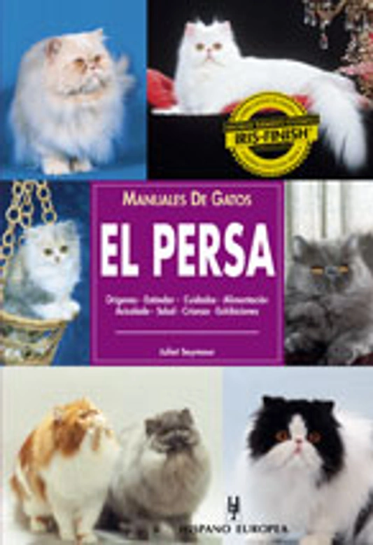 Cuidados del gato persa: pelo, higiene y el mejor champú para su manto