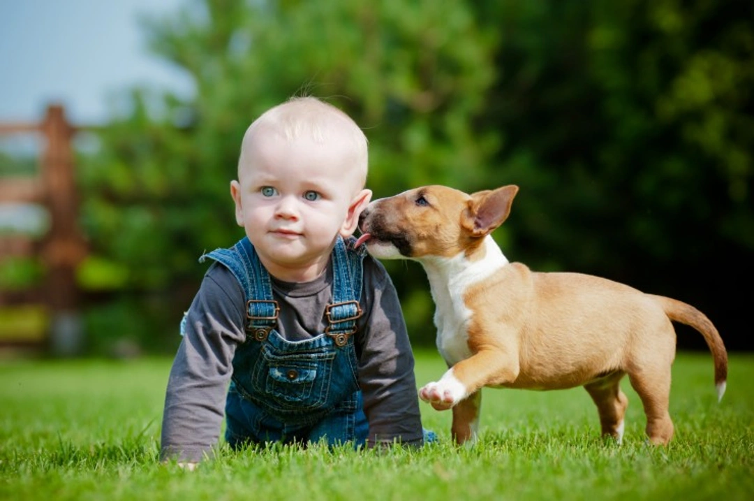 Should I Let My Dog Kiss the Kids? Risks & Benefits Explained