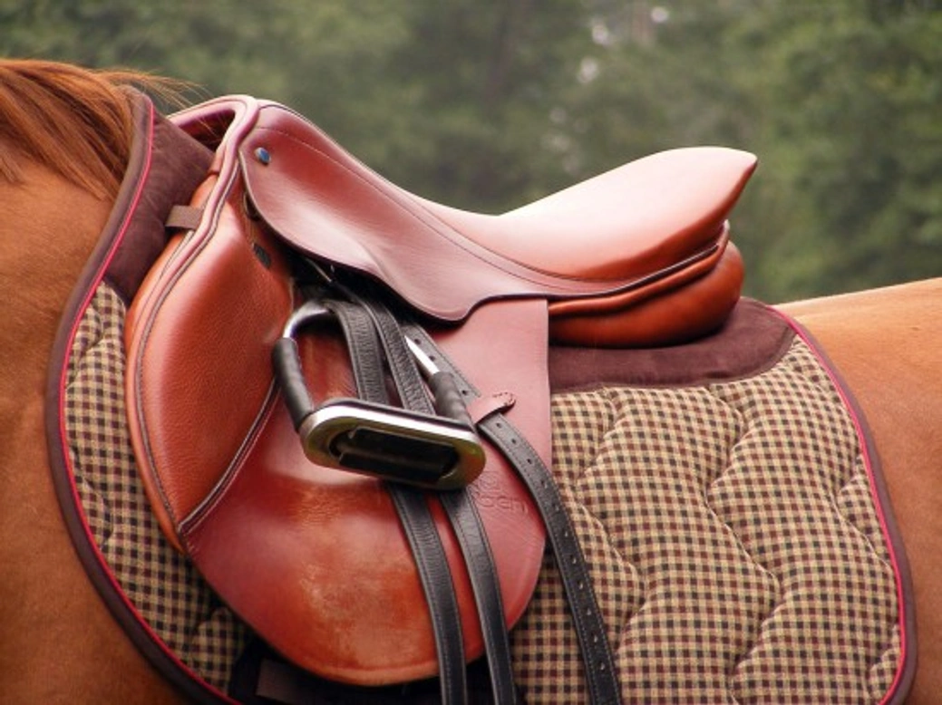 Choosing the Right Saddle and Accessories for Your Horse