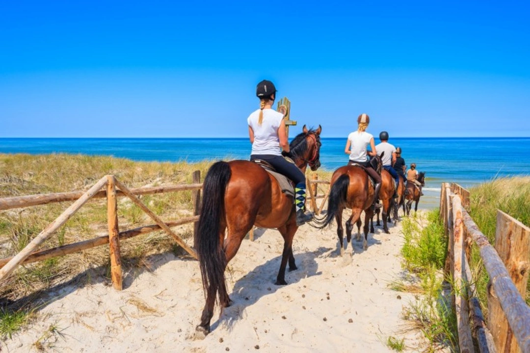 Essential Guide to Planning an Overseas Riding Holiday 2025
