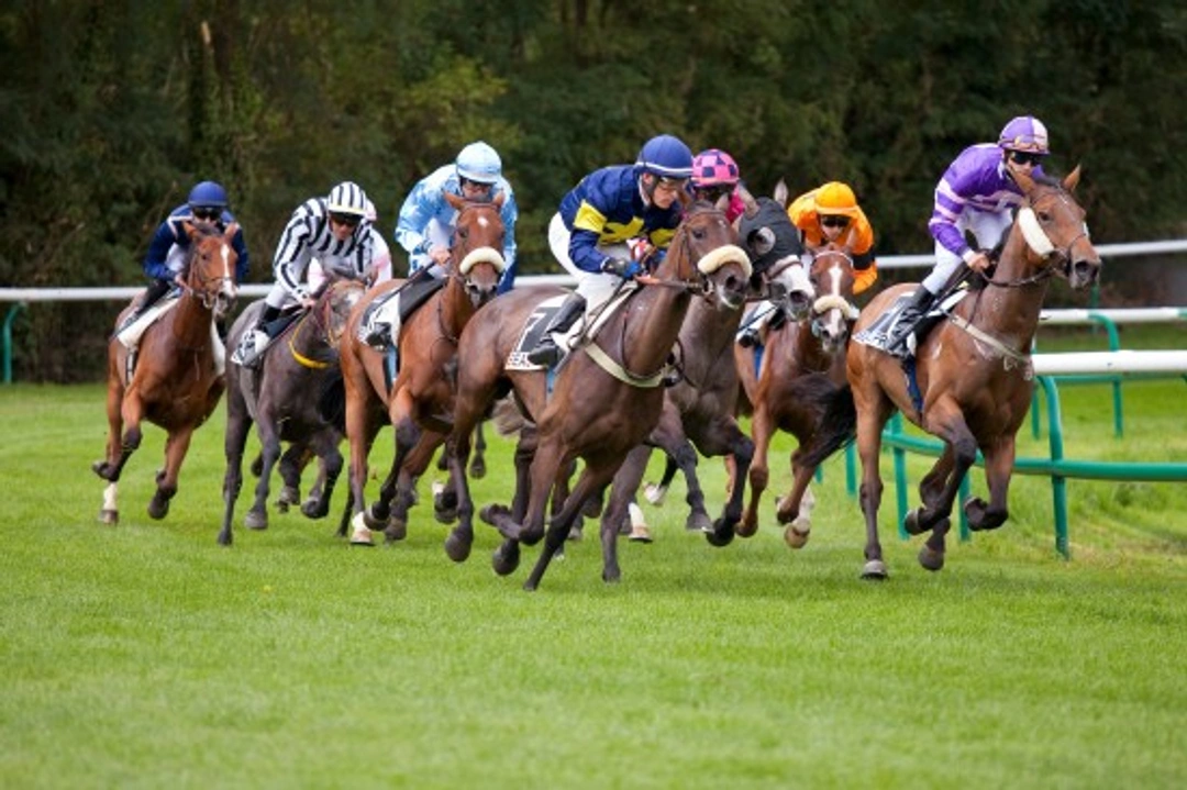 Competing in a point to point: Guide to Amateur Horse Racing