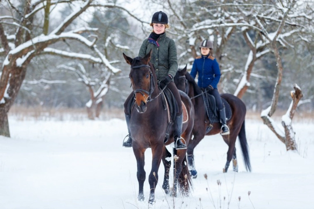 Top Equestrian New Year’s Resolutions for a Successful 2025